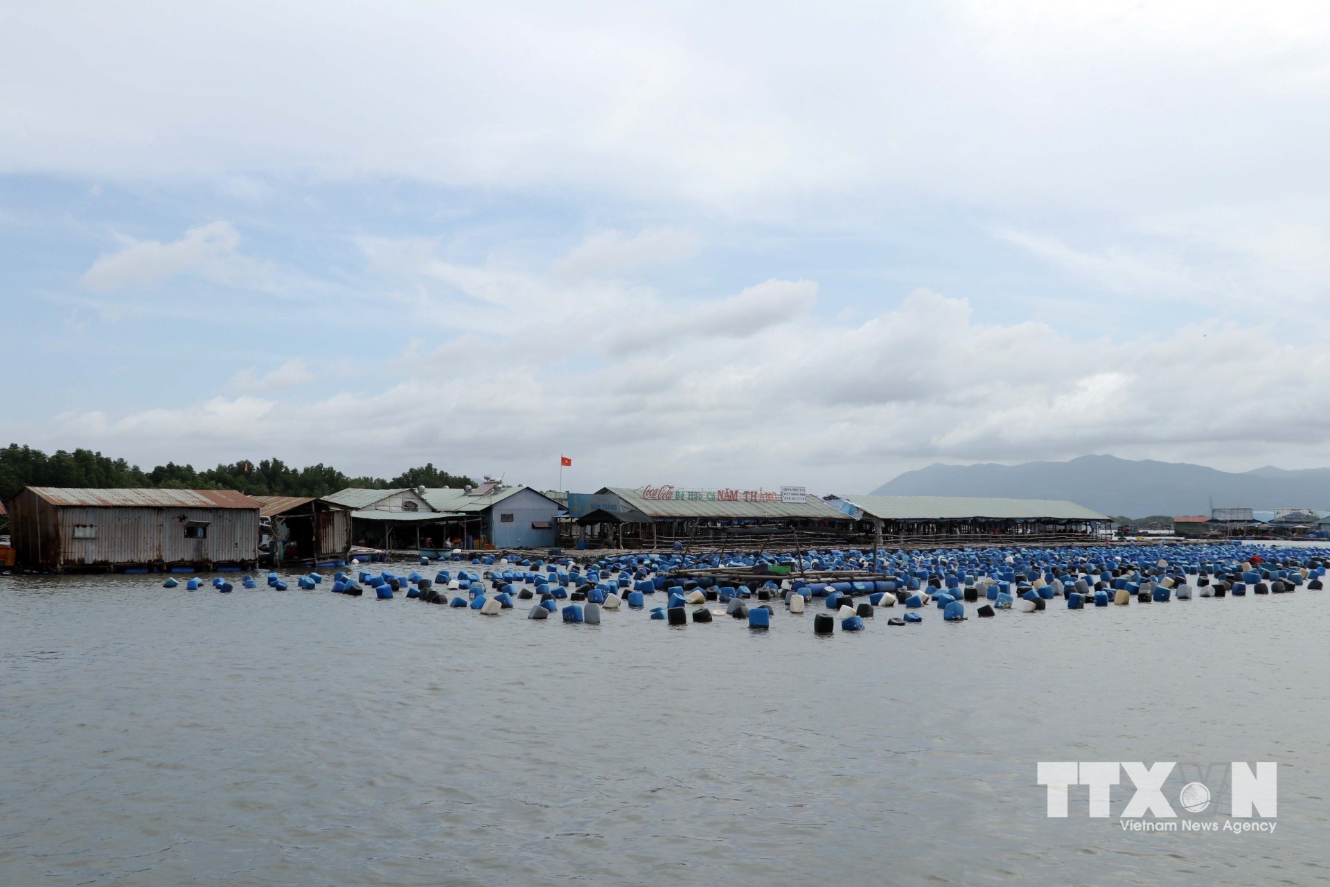 Bè nuôi hải sản trên sông Rạng (xã Long Sơn) đã được phủ sóng và được hưởng lợi lớn nhờ chuyển đối số và áp dụng công nghệ nuôi, cũng như hình thức bán hàng trực tuyến. (Ảnh: Đoàn Mạnh Dương/TTXVN)